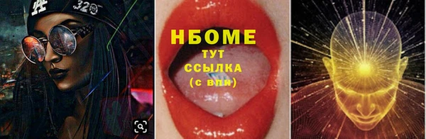 индика Лабытнанги