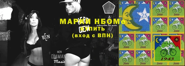 индика Лабытнанги