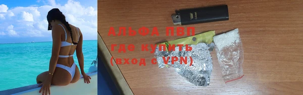 индика Лабытнанги