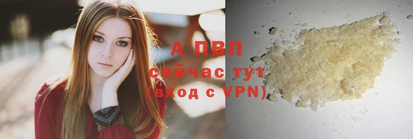 индика Лабытнанги