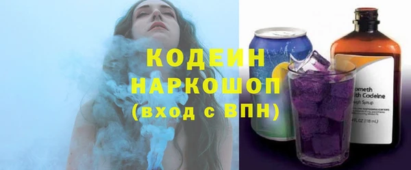 индика Лабытнанги