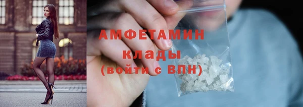 индика Лабытнанги