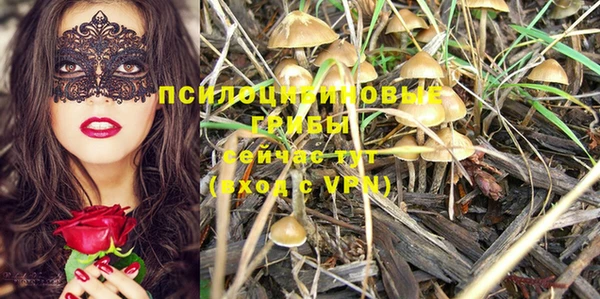 индика Лабытнанги