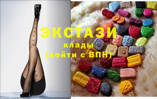 индика Лабытнанги