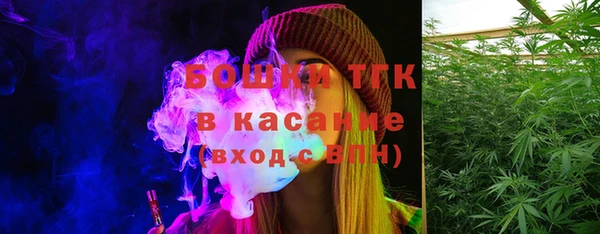 индика Лабытнанги