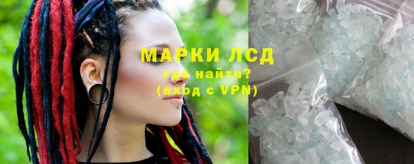 индика Лабытнанги