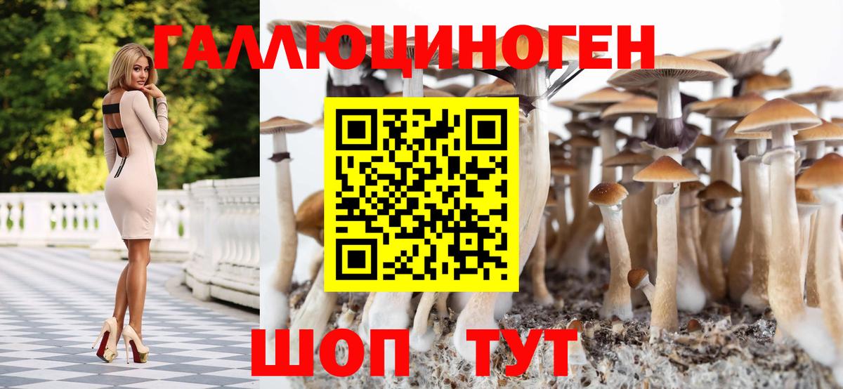 A-PVP СОЛЬ кристаллы  Волгодонск  МЕФ кристаллы  NBOMe  Каннабис  ГЕРОИН  Вход с VPN 