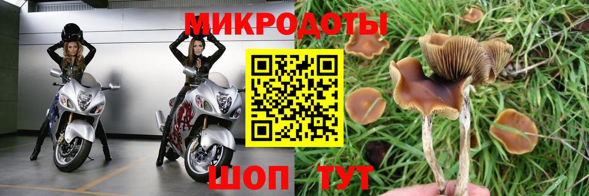 Галлюциногенные грибы мицелий  Галлюциногенные грибы Magic Shrooms  Вход с VPN  Волгодонск 